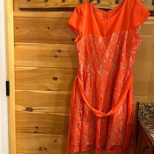 Ladies size 18 orange with embedded lace dress.